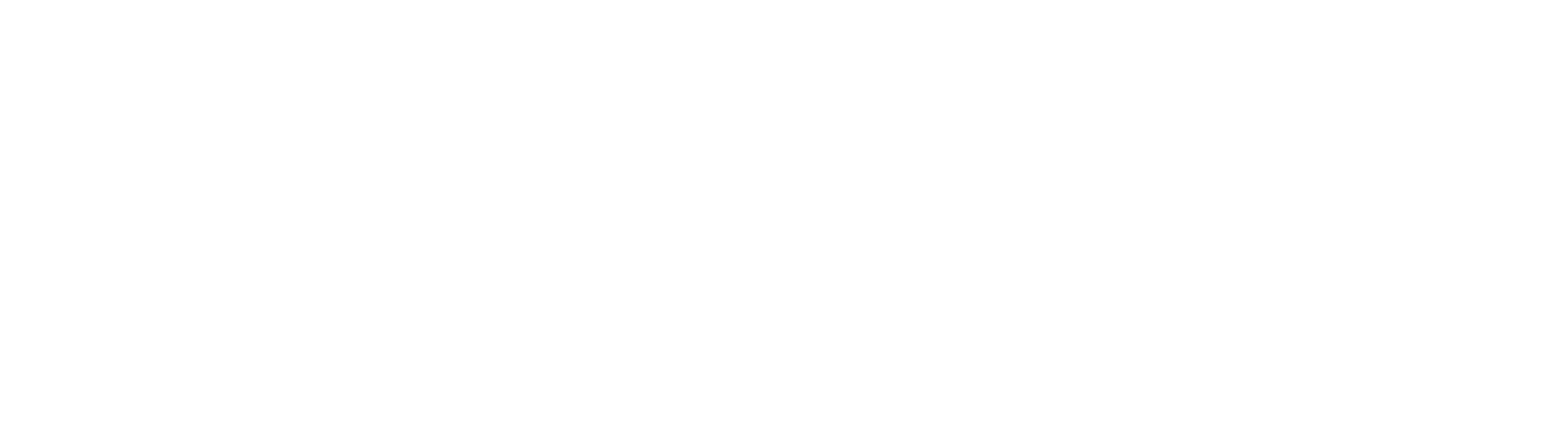L Trikamdas