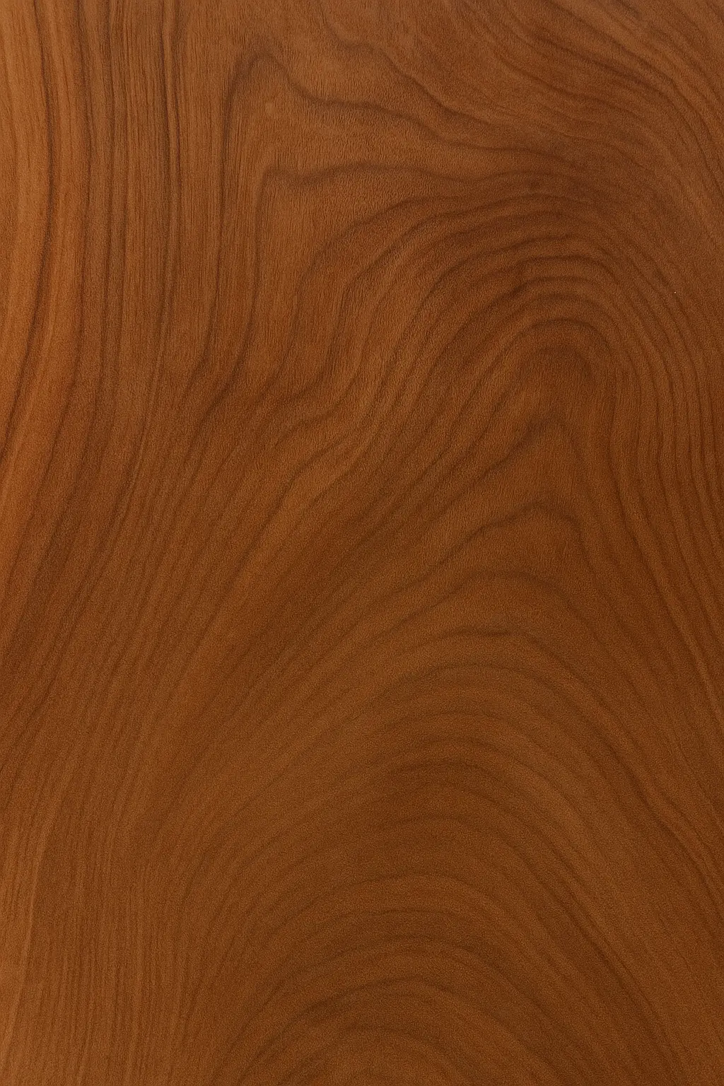 Laminates showroom ghatkopar